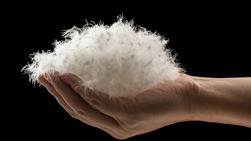 4���x����q������ů�^����ʡ��