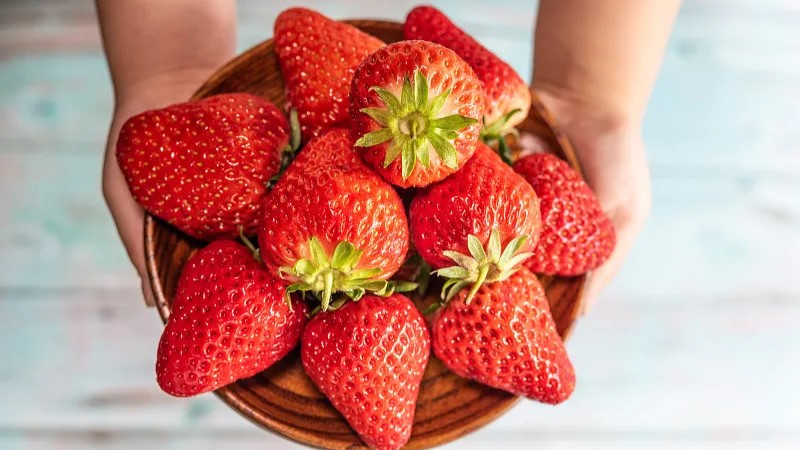 ��ݮ��ͷ��������������