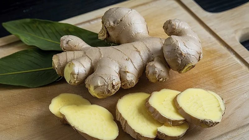 �����ܲ��ĳԽ���Ȱ�㡰�����ƾͼ�