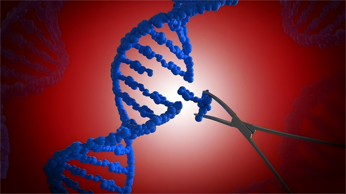 ����༭���Ʒ����޸�����Ƥ��