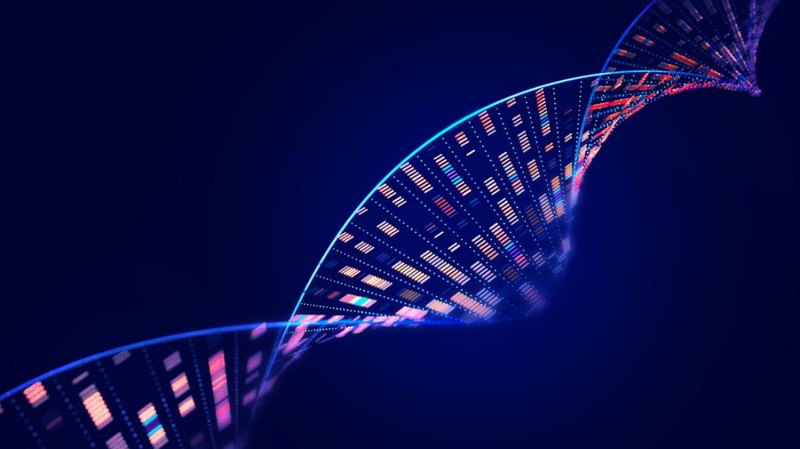 先导编辑首次在人体内“改写”DNA